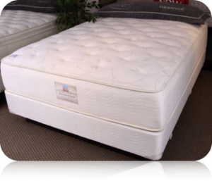 Kathy Ireland Peaceful Oasis Plush Mattress By Therapedic