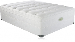 Simmons Natural Care Mt Darwin Drop Top Pillow Top Mattress