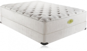 Simmons Natural Care Mt Darwin Plush Tight Top Mattress