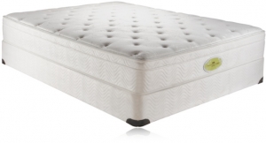 Simmons Natural Care Belmore Forest Euro Top Mattress