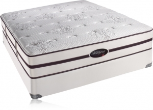 Simmons Beautyrest Elite Greenbrook Extra Firm Mattress 