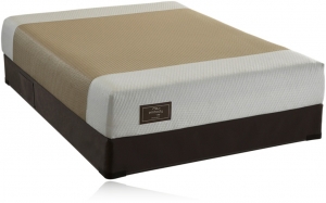 Sealy Embody Motivation Memory Foam Mattress