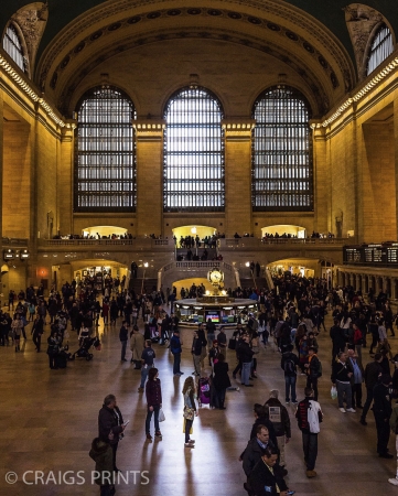 Grand Central Tanner24x30 inches