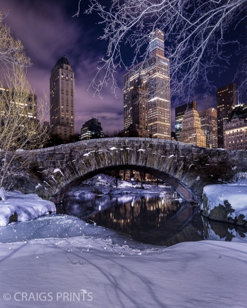 Central Park Blizzard  24x30 inches