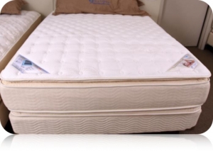 Double Pillow Top Mattresses Craig S Beds Nyc Contour Care Windsor Two Sided Pillow Top Mattress By Eclipse